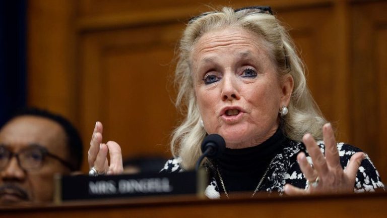 Dem Rep. Dingell admits she is ‘worried’ American money is flowing to terrorism: ‘We need to ask questions’