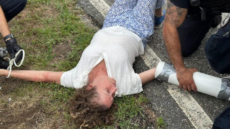 Disney heiress arrested protesting private jets in ritzy New York community