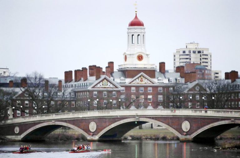 Law firm rescinds job offers to Harvard students over Israel letters