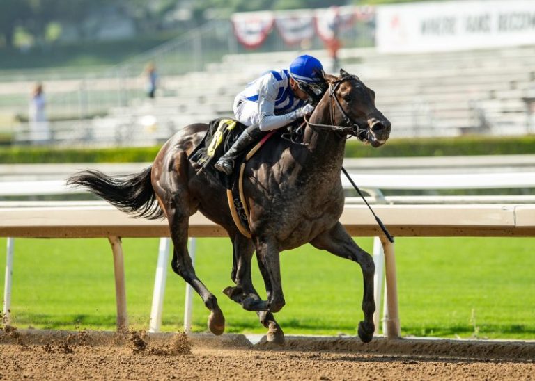 Second horse based at Santa Anita dies in lead up to Breeders’ Cup