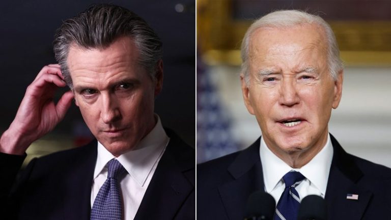 Liberal columnist praises ‘patriotic’ Newsom for ‘shadow campaign,’ slams Democrats for backing Biden