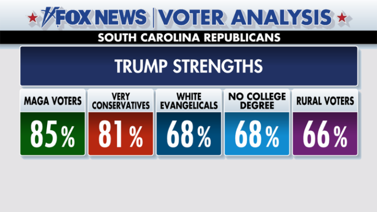 Fox News Voter Analysis: Trump Bests Haley in Her Home State