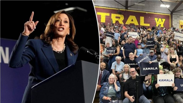 Dem voters at Milwaukee rally say they’re fired up for Harris: ‘United and energized’