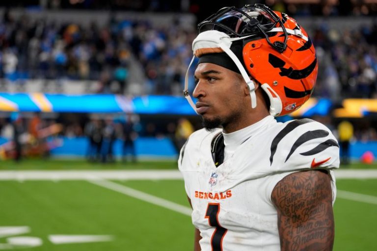 Bengals’ frustrations mount after another brutal loss