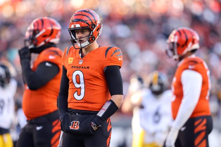 Bengals see playoff hopes likely end at hands of AFC North rival