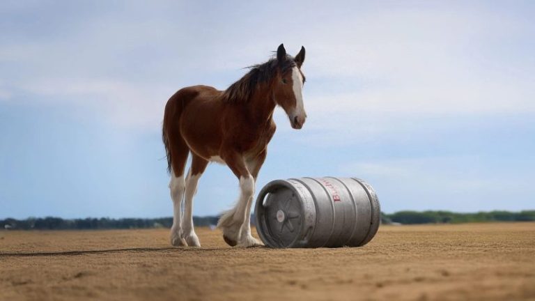 This beer company is going all in on 2025 Super Bowl commercials
