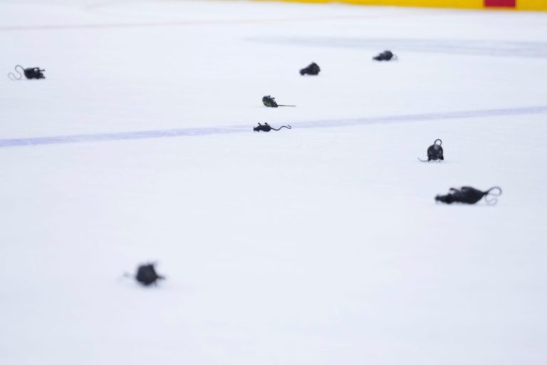 Why do Panthers fans throw plastic rats? Tradition explained