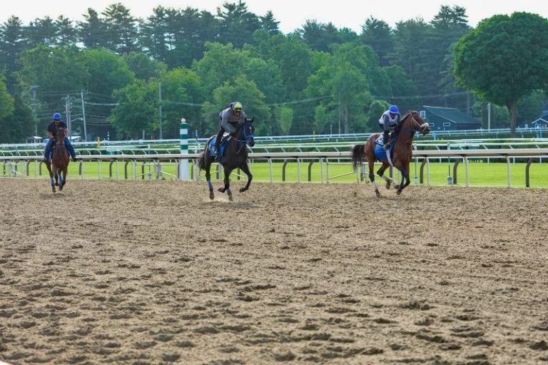 ICE raid sends shockwaves across racing, ‘puts horses at risk’